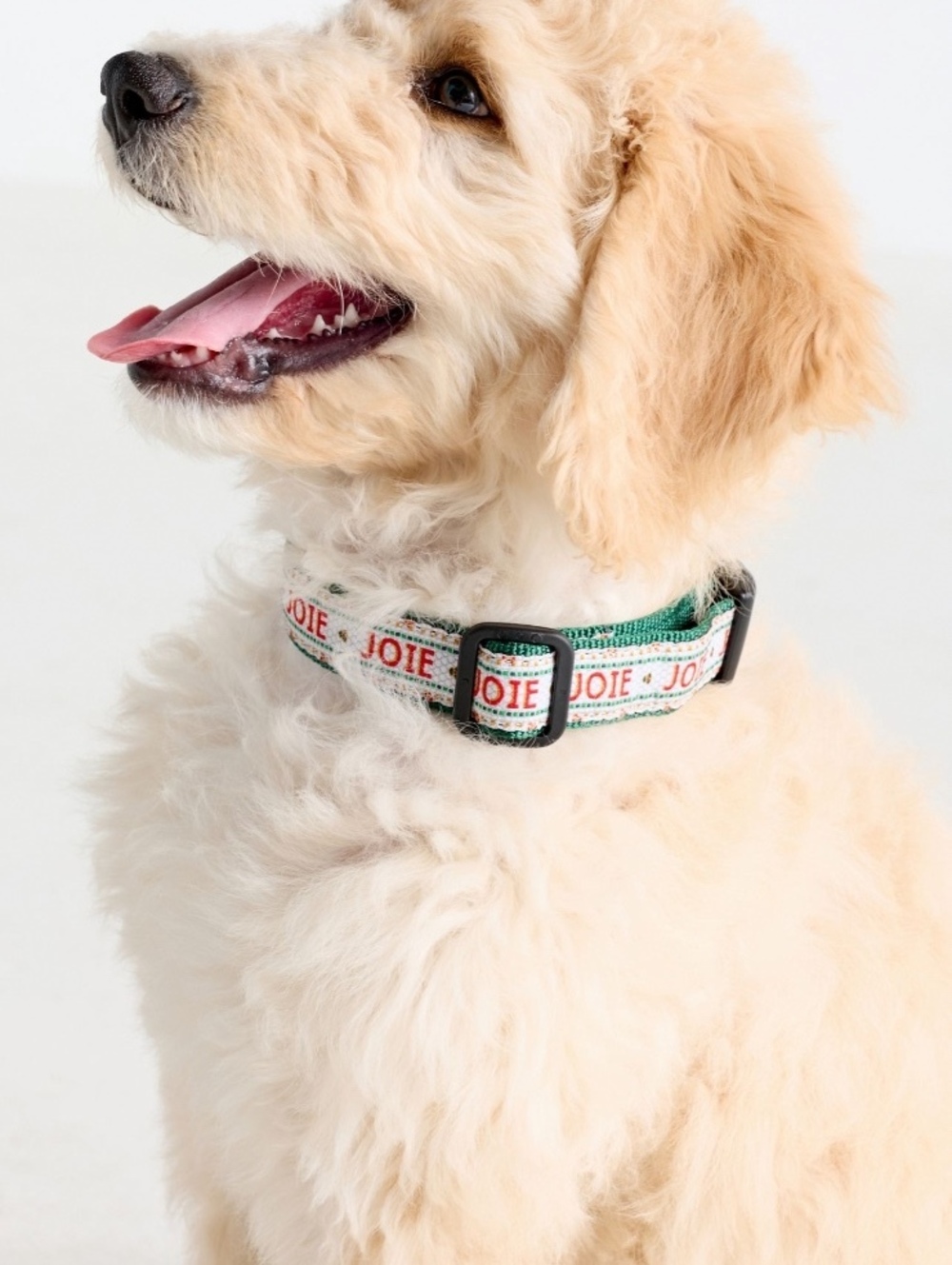 NWT Anthropologie Bistro Tile Holiday Dog Collar - Small Joie